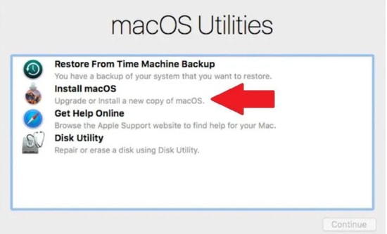 best options for reinstalling mac os